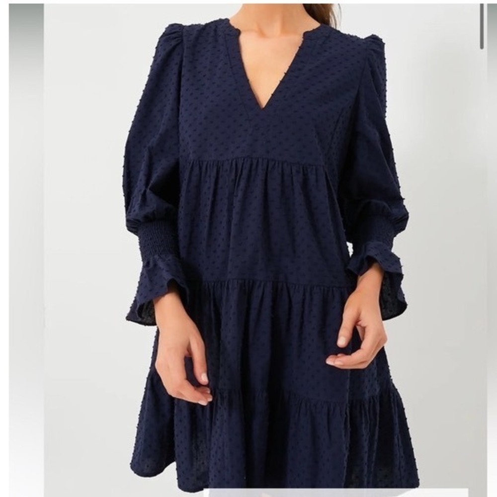 Pomander Place Tuckernuck Navy Blue Kenzo Clip Dot Tiered Mini Dress M Y24441T